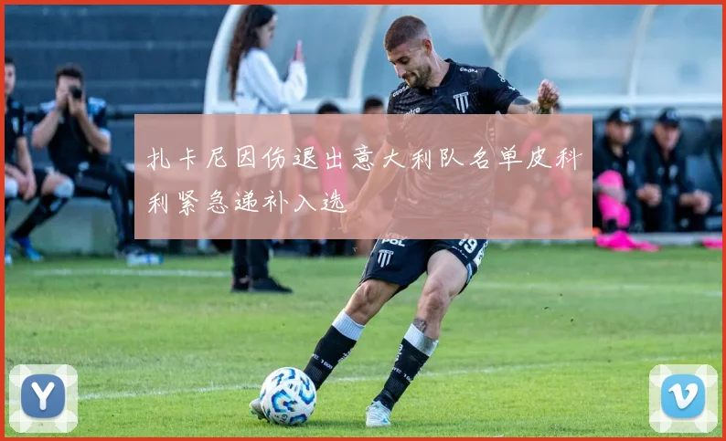 扎卡尼因伤退出意大利队名单皮科利紧急递补入选