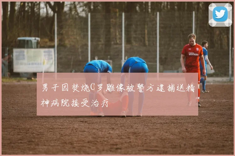 男子因焚烧C罗雕像被警方逮捕送精神病院接受治疗