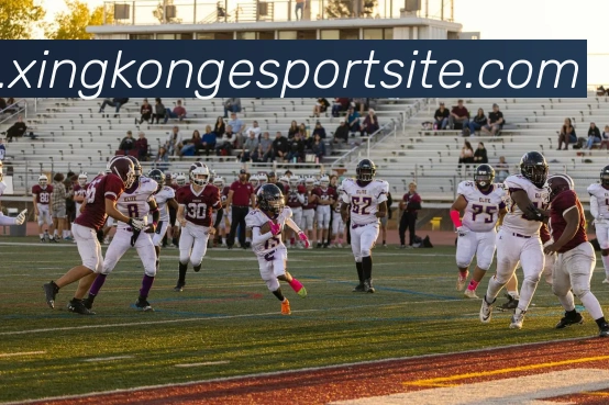 星空电竞APP 封面图